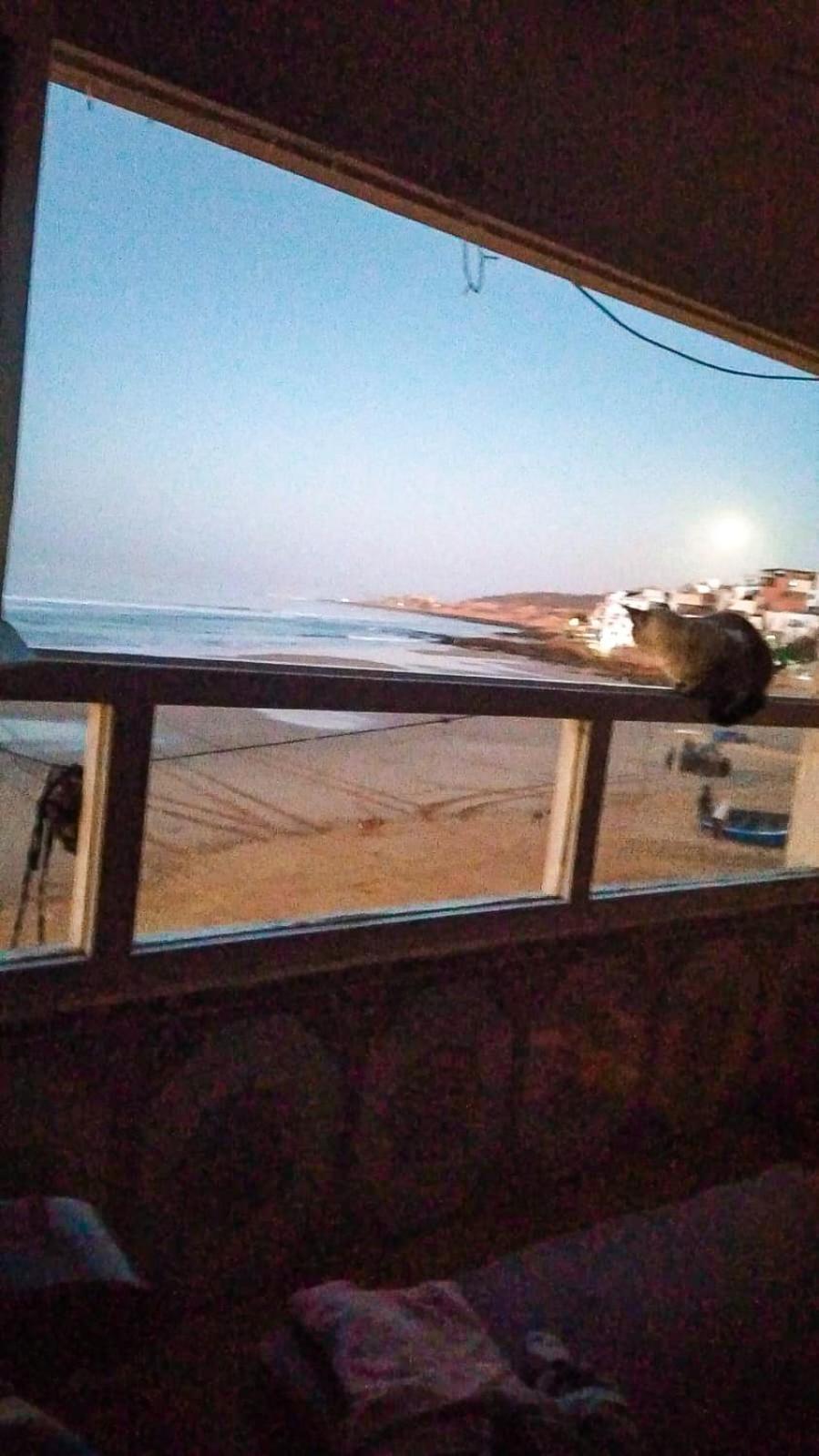 Séjour chez l'habitant Idriss Seaview Guesthouse